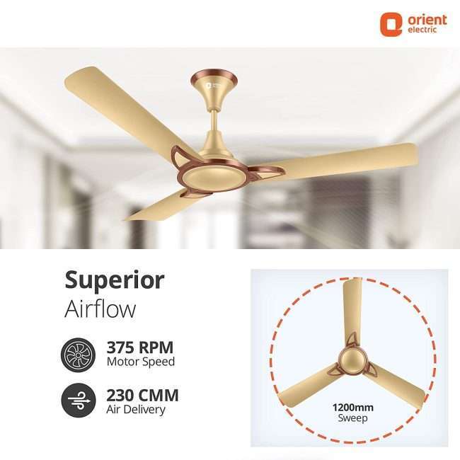 Orient Electric Kiara Shine 1200mm High Speed Ceiling Fan (Chocolate Gold)