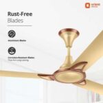 Orient Electric Kiara Shine 1200mm High Speed Ceiling Fan (Chocolate Gold)