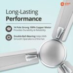 Orient Electric Gratia  1200 MM Deco Fan (Silky Silver)