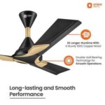 Orient Electric Wendy 1200mm ceiling fan (Metallic Black-Gold)