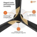 Orient Electric Wendy 1200mm ceiling fan (Metallic Black-Gold)