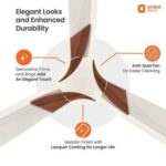 Orient Electric Wendy 1200mm Ceiling Fan (Pearl White/Walnut)