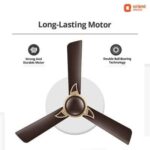 Orient Electric Kiara Shine 1200mm High Speed Ceiling Fan (Hickory Brown)