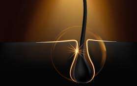 Havells Compact Hair Dryer - HD3152 (Pink)