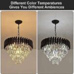 TRACKLITE JHUMAR Brontes k9 cystral Glass Modern Ceiling jhummer/Chandelier Light Fixture (BLACK GOLD)  (4 FEET -L 8 FEET W)                                    (INSTALLATION FREE +12 BULB FREE FREE )
