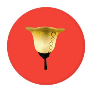 WhatsApp-Image-2023-08-07-at-12-PhotoRoom