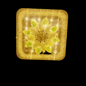 WhatsApp Image 2023-08-24 at 1-PhotoRoom (4)