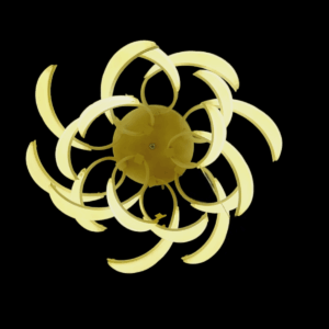 WhatsApp Image 2023-08-24 at 7-PhotoRoom (1)