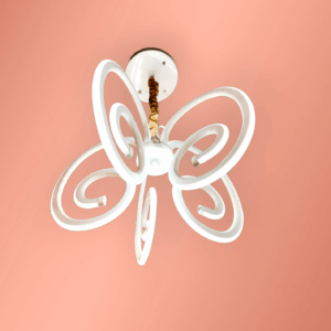 WhatsApp-Image-2023-08-26-at-4-PhotoRoom (2)