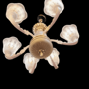 WhatsApp Image 2023-08-27 at 2-PhotoRoom (2)